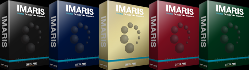 Программный комплекс Bitplane Imaris